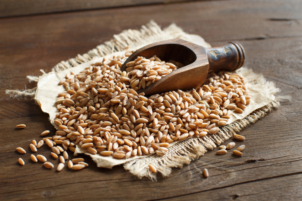 

Remove BG

Save

Share

Sample

Uncooked whole spelt with a wooden spoon — Photo