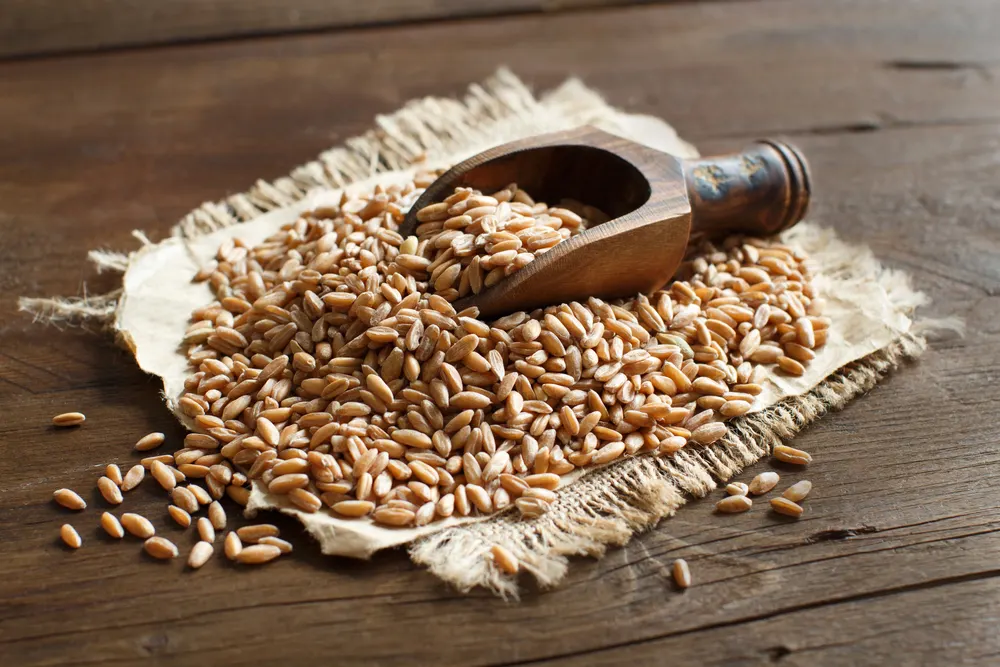 Remove BG
Save
Share
Sample
Uncooked whole spelt with a wooden spoon — Photo