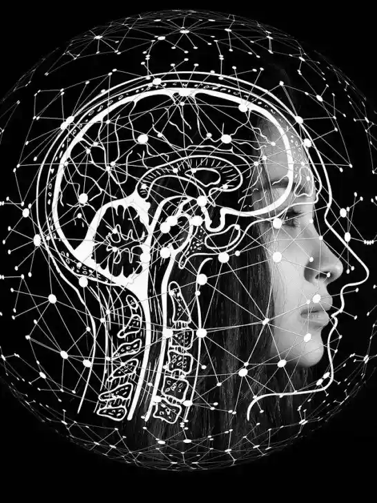 A black and white illustration of a side view of a head representing AI and the Integrating Artificial Intelligence in your business