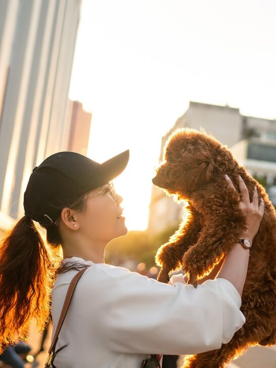 A woman holding up her dog in her arms while visiting a foreign country after traveling internationally with pets.