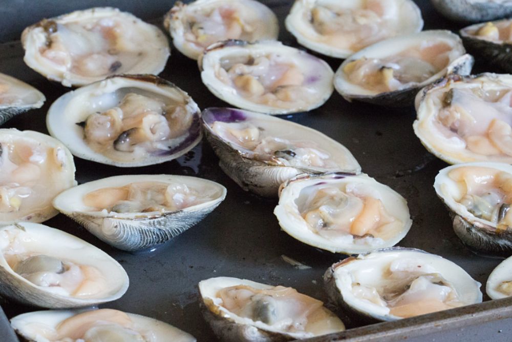Clam Casino | by Just Me and the Clams