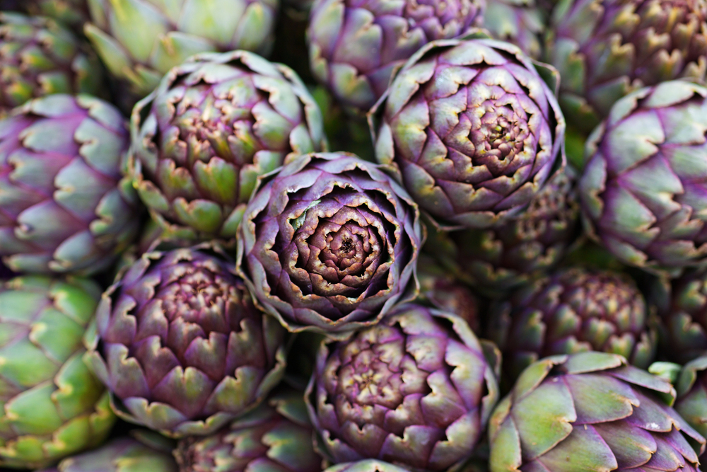 Pile of Italian Artichokes — Stock Photo, Image