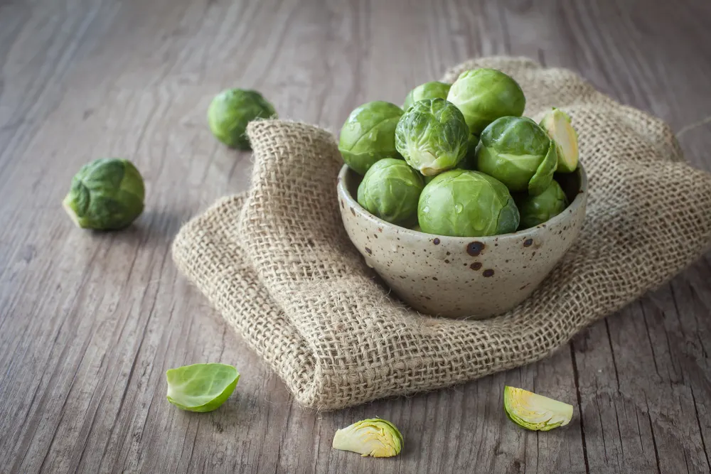Brussels sprouts — Stock Photo, Image