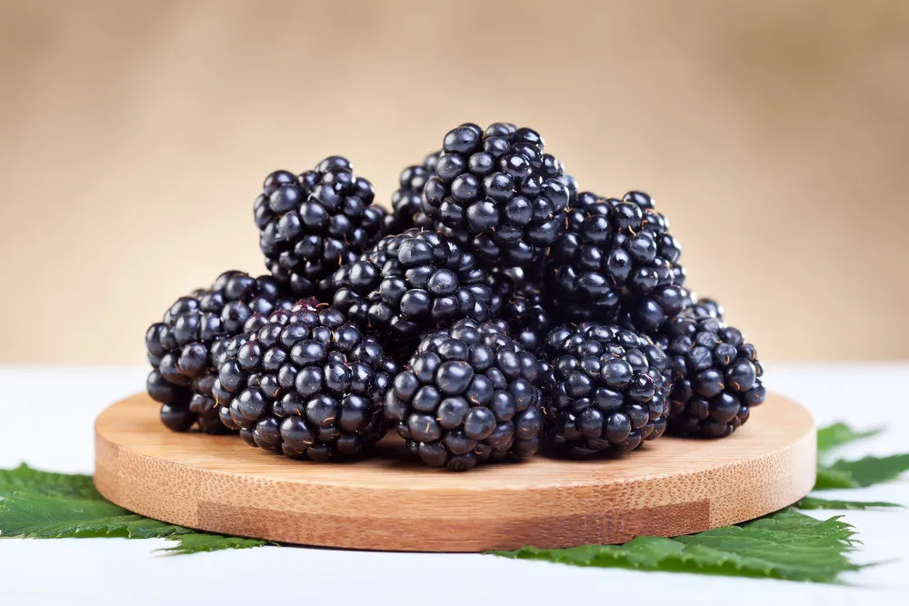Blackberries on wooden plate — Stock Photo, Image