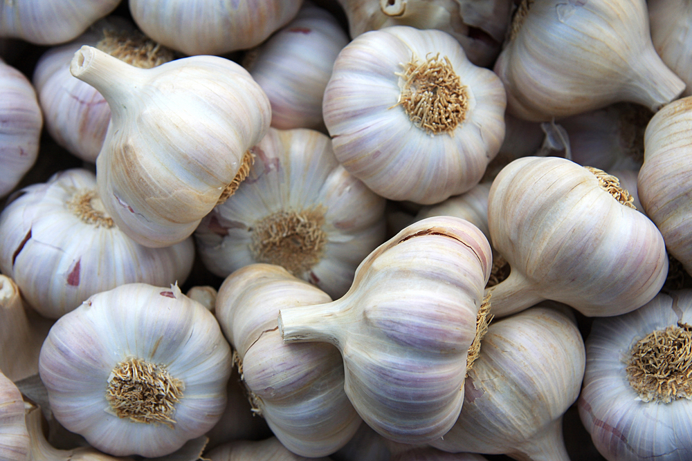 Garlic background — Stock Photo, Image