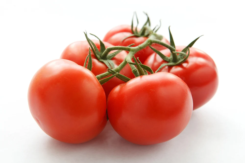 Tomatoes — Stock Photo, Image