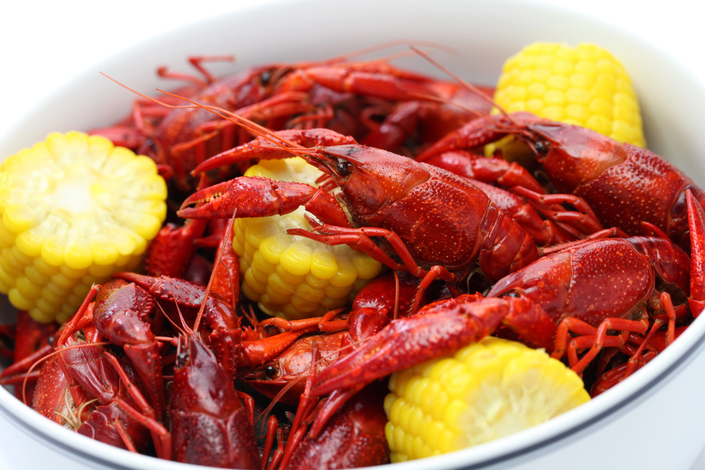 Boiled crawfish — Stock Photo, Image