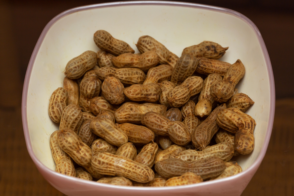 Large Group Boiled Peanuts Bowl — Stock Photo, Image