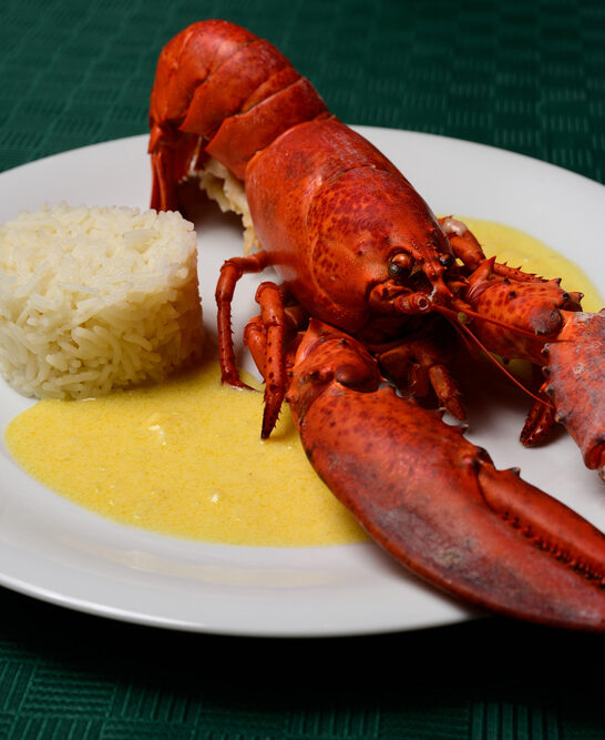 Lobster Newberg Red Cooked American Seafood Dish Rice Sherry Cognac — Stock Photo, Image