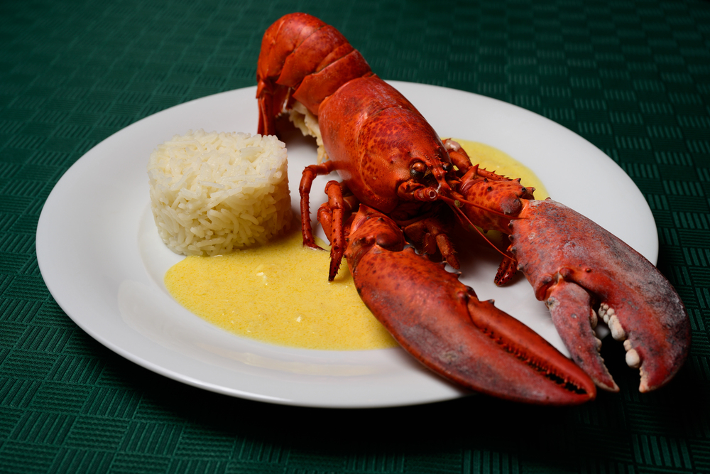 Lobster Newberg Red Cooked American Seafood Dish Rice Sherry Cognac — Stock Photo, Image
