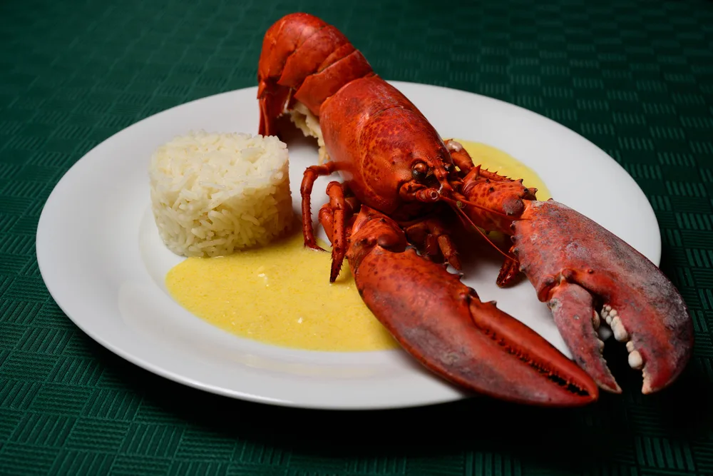 Lobster Newberg Red Cooked American Seafood Dish Rice Sherry Cognac — Stock Photo, Image