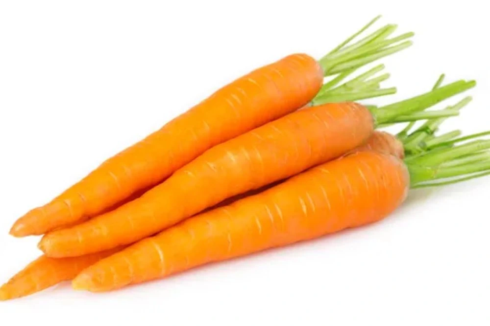Fresh carrots — Stock Photo, Image