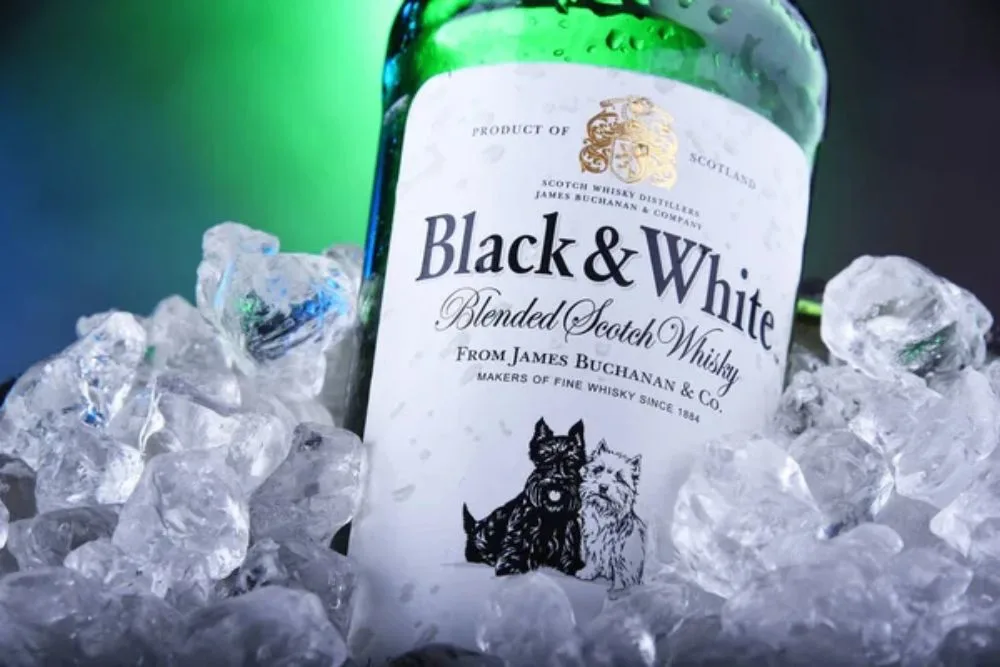 POZNAN, POL - NOV 21, 2019: Bottle of Black and White, a blended Scotch whisky, manufactured by Diageo, originally produced by James Buchanan in London — Photo by monticello