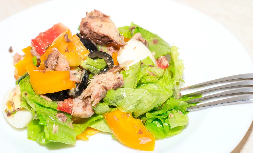 Delicious salad with tuna, tomatoes, eggs, olives and peppers. — Stock Photo, Image