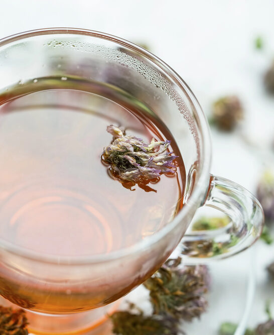 Red clover tea — Stock Photo, Image