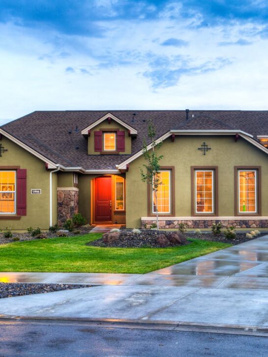 A green house with weather-resistant roofing after a rainstorm