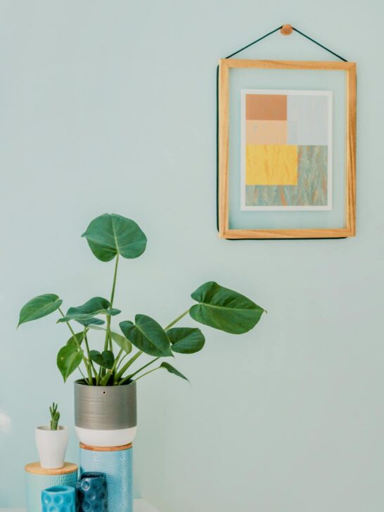 Small decorative table with a plant and vases, placed against a wall featuring framed artwork—an example of creative wall decor ideas.