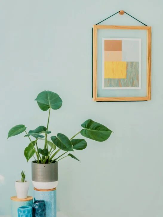 Small decorative table with a plant and vases, placed against a wall featuring framed artwork&mdash;an example of creative wall decor ideas.