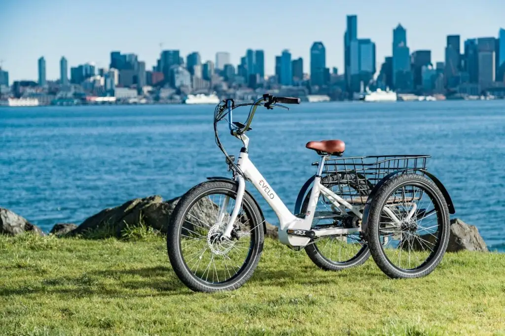 An Evelo three-wheel bike parked beside the water with a city skyline in the background, highlighting features from an electric trike buying guide.