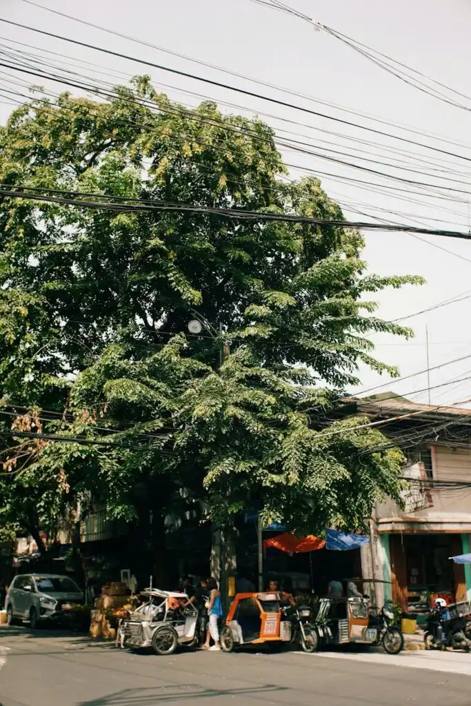 Traditional motorized trikes parked along a busy street under a large tree, showing different styles of local three-wheel vehicles.