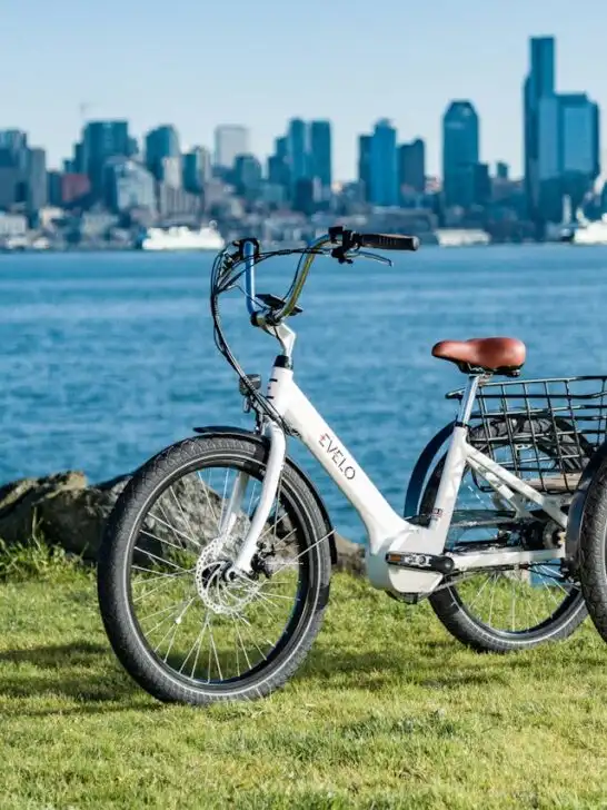 An Evelo three-wheel bike parked beside the water with a city skyline in the background, highlighting features from an electric trike buying guide.