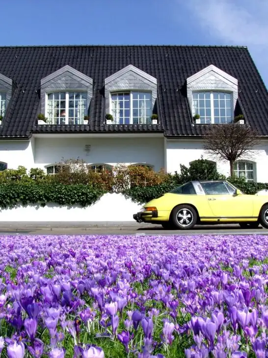 A charming white house with a black roof and a vibrant field of purple flowers in front, an inspiring scene for home makeover ideas.