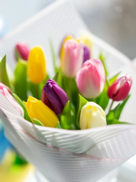 Bright tulip bouquet wrapped in striped paper, showing how fresh blooms can inspire living room flower arrangements.