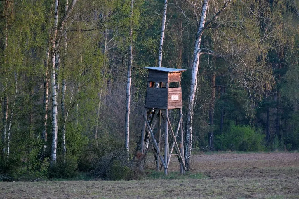 A raised hunting blind overlooking a quiet forest edge, showing preparation and field awareness for a successful hunt.