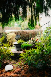 how to revive a garden with fresh plants and updated backyard landscaping