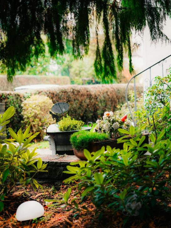 how to revive a garden with fresh plants and updated backyard landscaping