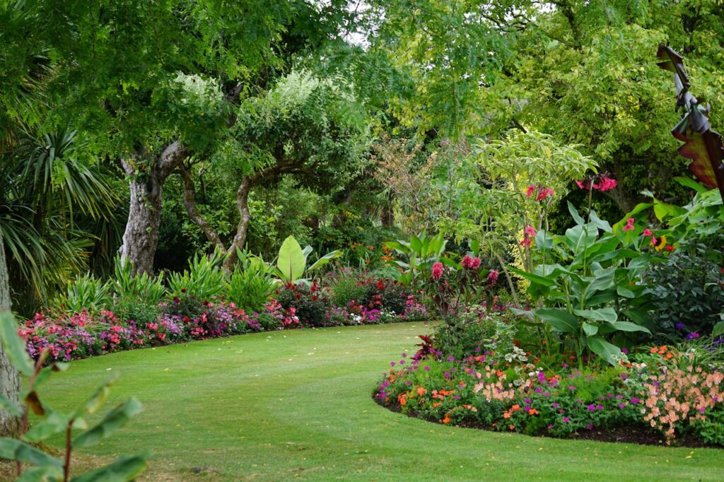 vibrant backyard garden makeover with colorful flowers and healthy greenery