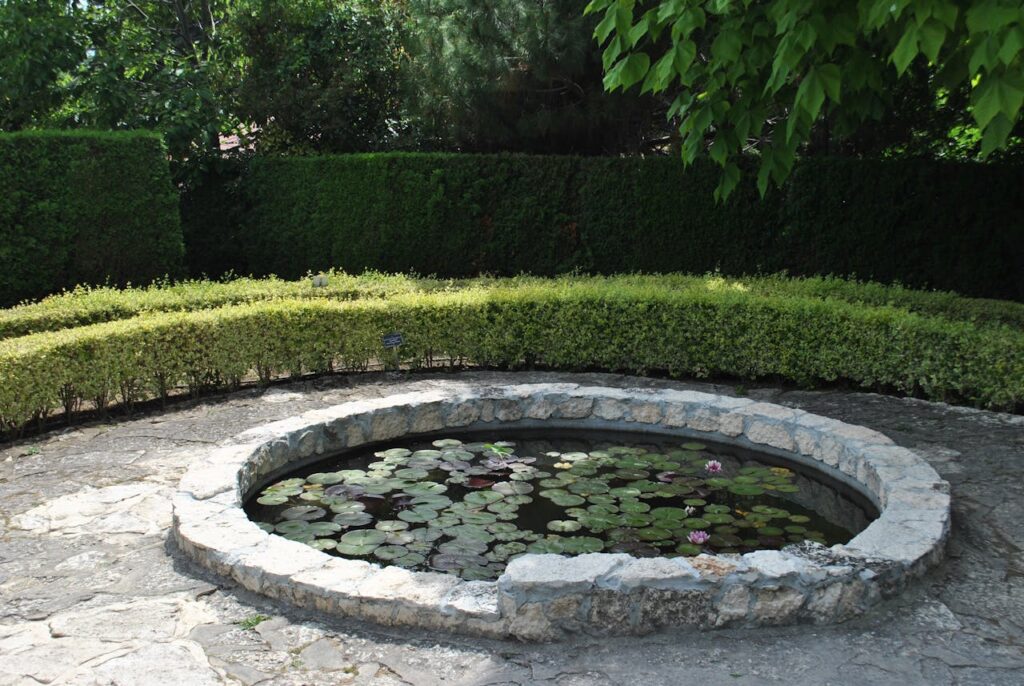 Backyard pond with lily pads demonstrating natural pond algae control for clear and healthy water