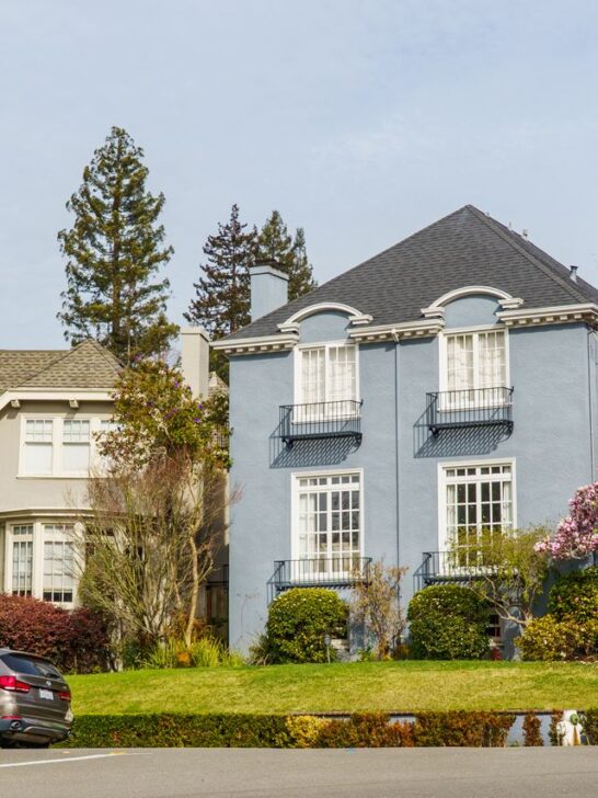 Well-maintained suburban homes with trimmed lawns, flowering trees, and attractive landscaping that enhance curb appeal and property value.