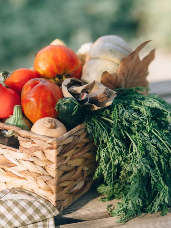 How to Start a Family Vegetable Garden with a basket of freshly harvested homegrown vegetables
