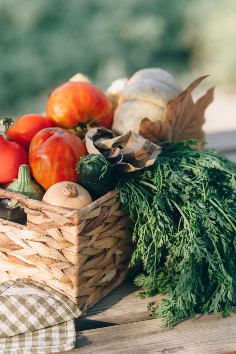 How to Start a Family Vegetable Garden with a basket of freshly harvested homegrown vegetables