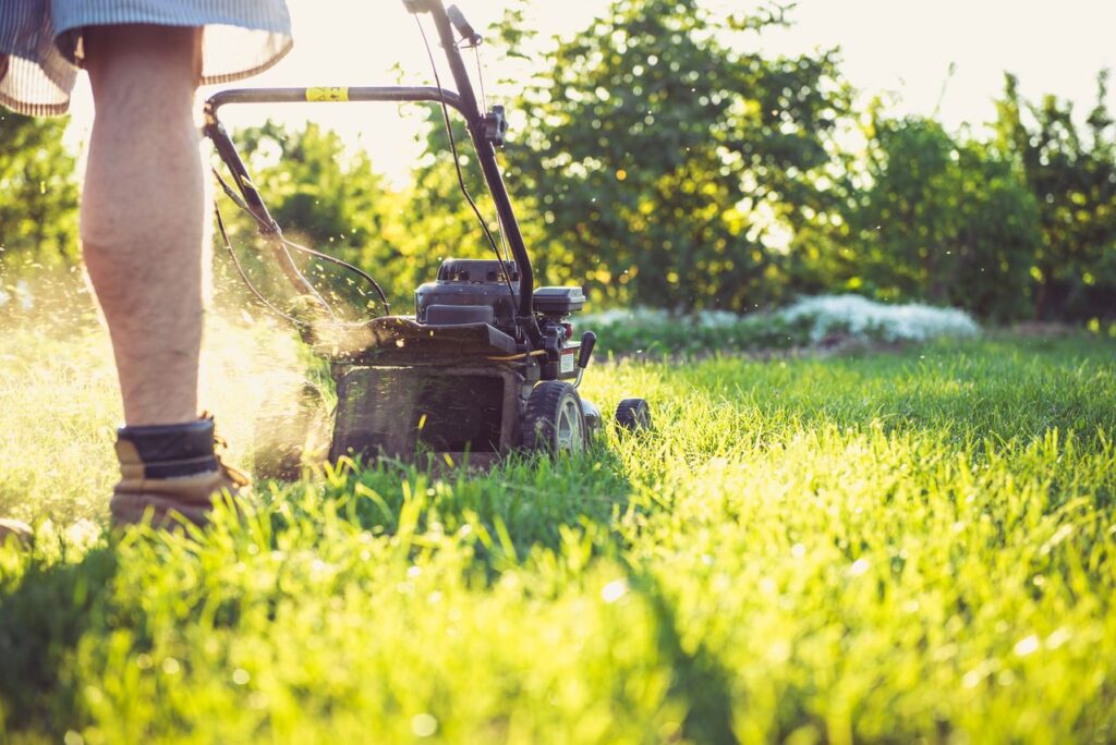Homeowner mowing a lush green lawn on a sunny afternoon before summer.