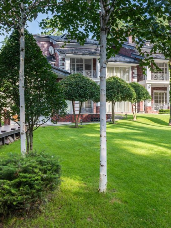 Beautiful, well-maintained yard showcasing ways to automate yard chores with smart lawn care solutions.