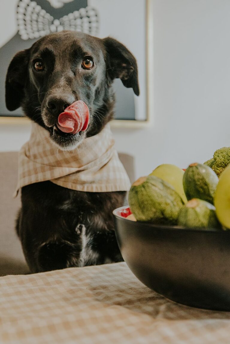 Black dog sitting at the table beside fresh fruits and vegetables, representing healthy nutrition and balanced food choices for dogs.