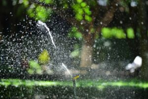 Sprinkler watering a lawn with an even spray pattern to keep grass healthy and prevent dry spots.