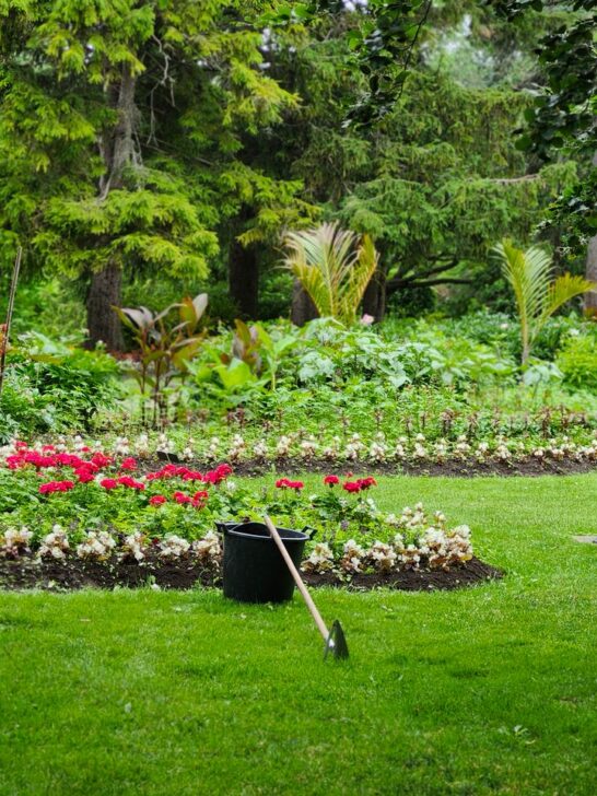Smart water management in a landscaped backyard featuring healthy flower beds, lush greenery, and efficient outdoor gardening practices.