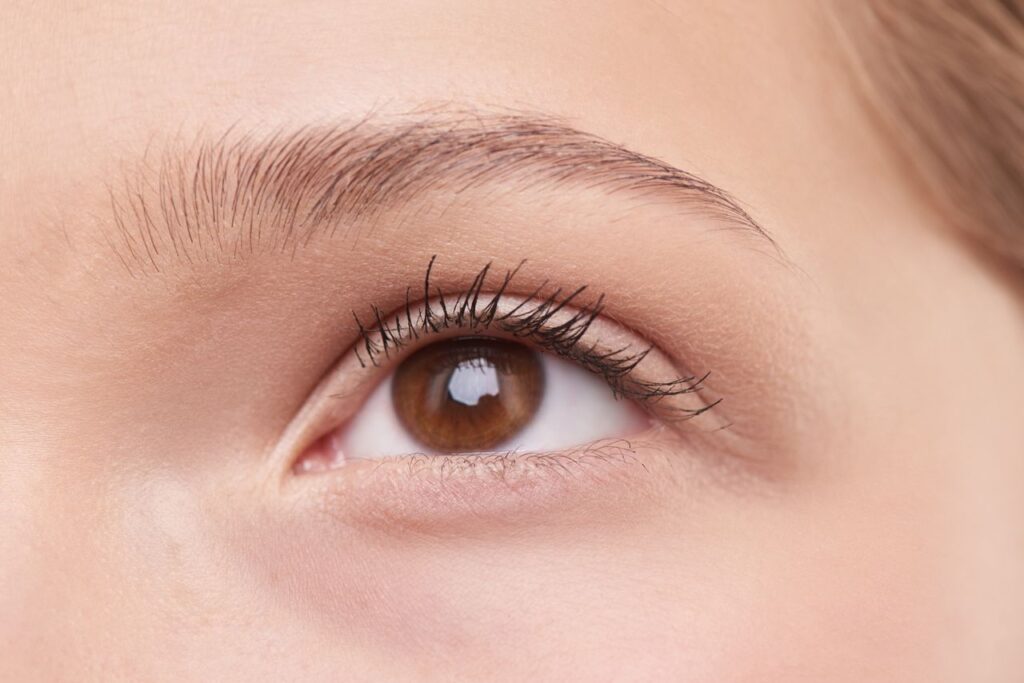 Close-up of a healthy eye and naturally full eyebrow showing well-defined brow hairs and natural growth.