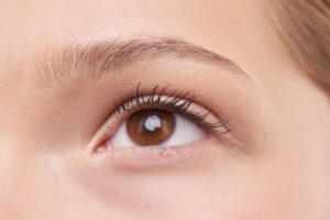 Close-up of a healthy eye and naturally full eyebrow showing well-defined brow hairs and natural growth.