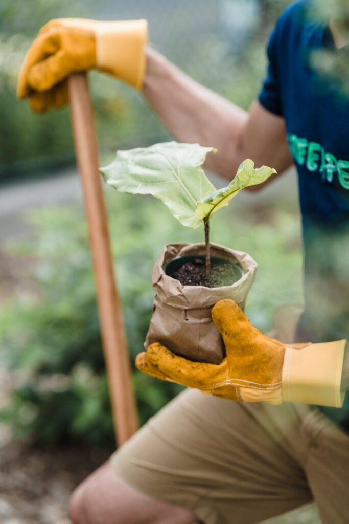 Gardener wearing gloves holding a young potted plant while working outdoors.