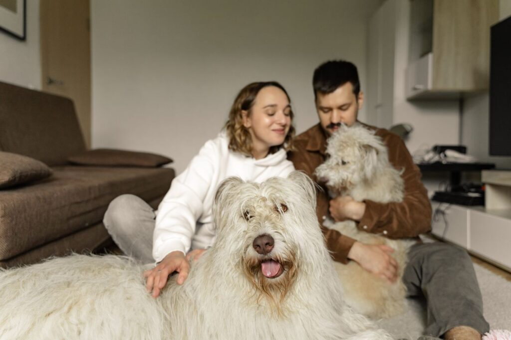 Benefits of living with a dog include companionship, as a couple relaxes at home with their two dogs.